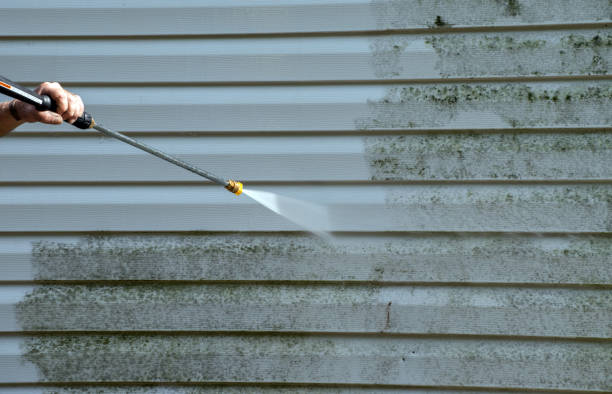 Best Gutter Cleaning  in St Joseph, IL