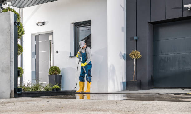 Best Animal Enclosure Cleaning  in St Joseph, IL
